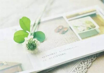 雷恩战斗精神可嘉，球队取得不俗成绩