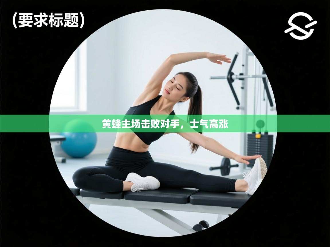 黄蜂主场击败对手，士气高涨  第1张