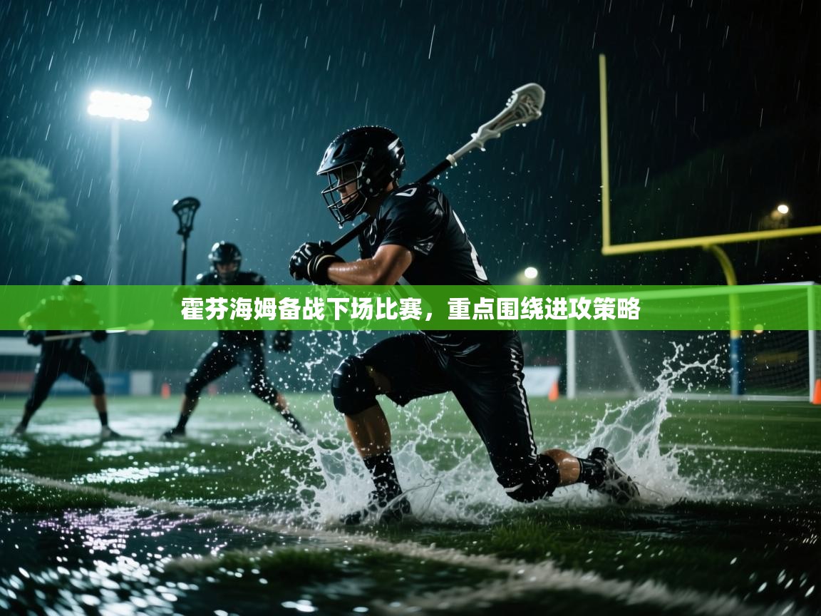 霍芬海姆备战下场比赛,重点围绕进攻策略 第2张