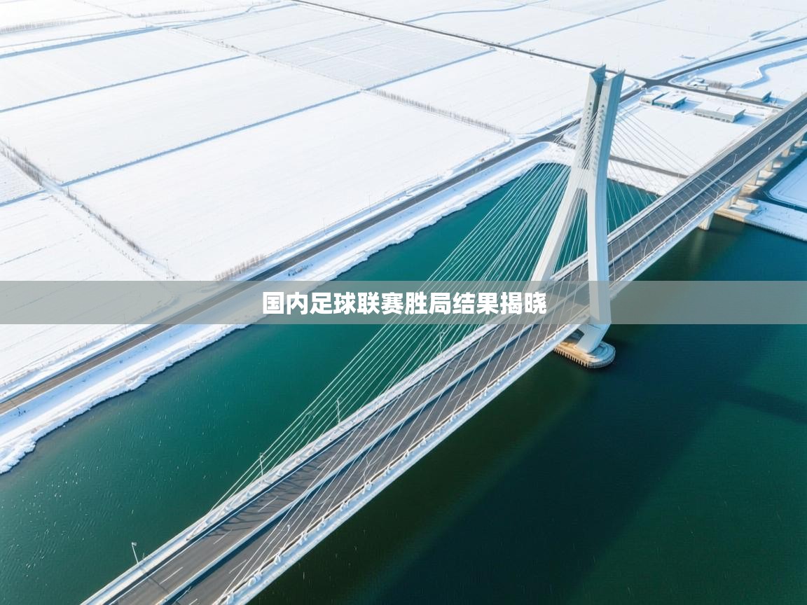 国内足球联赛胜局结果揭晓